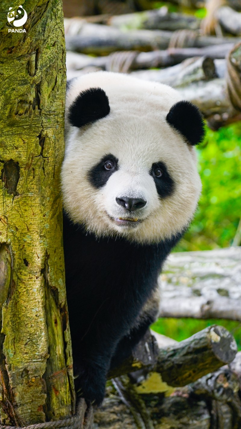 1790667008989024969.jpg 图片 5.jpg