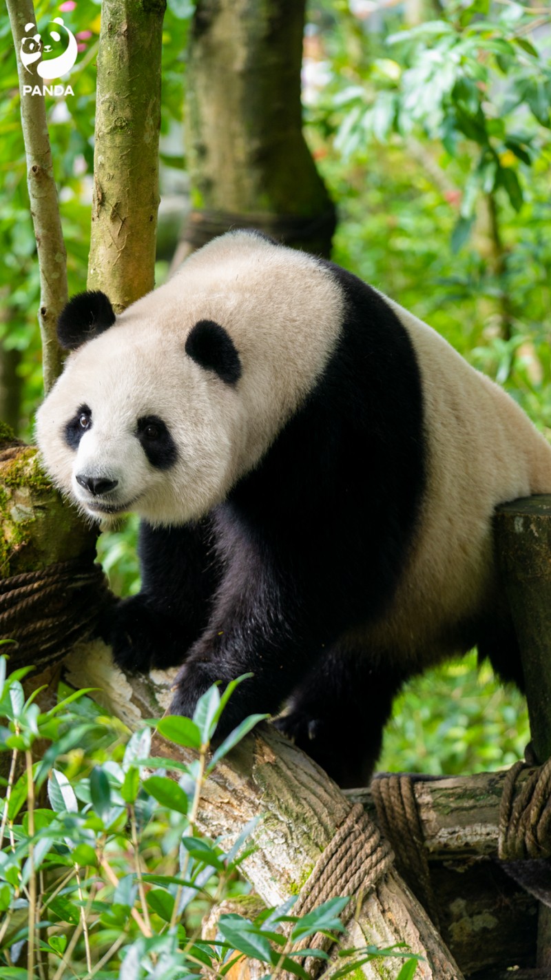 1790667032273000898.jpg 图片 7.jpg